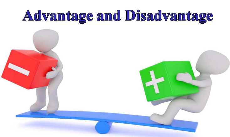 Advantage and Disadvantage